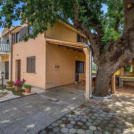 Apartment Nevija